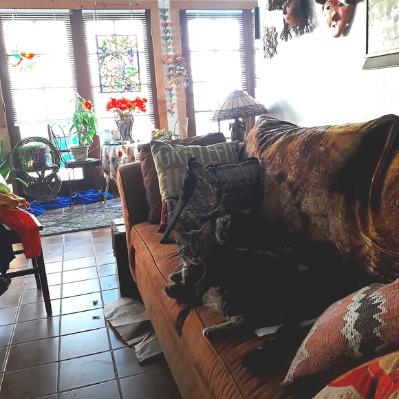 Meet your Posher, Brenda - Picture 6 of 13